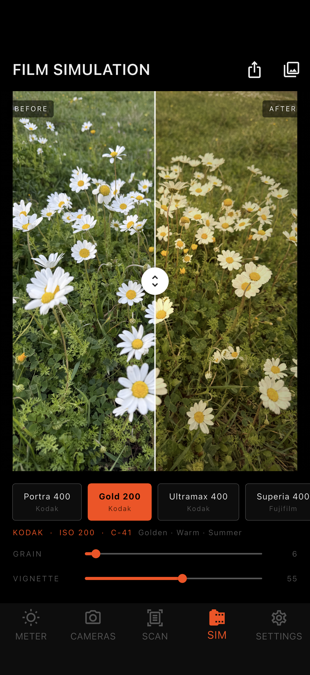Film Simulation — Analog Buddy